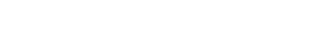 valentegroup-logo-white